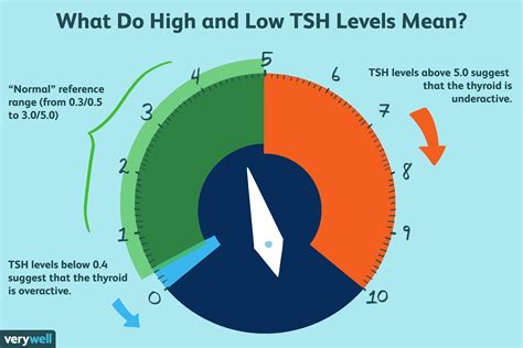 tsh levels impact test|high and low tsh results.